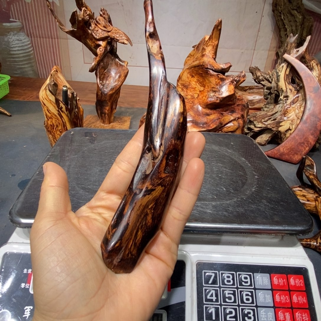 清***影香榧木我们都在努力着