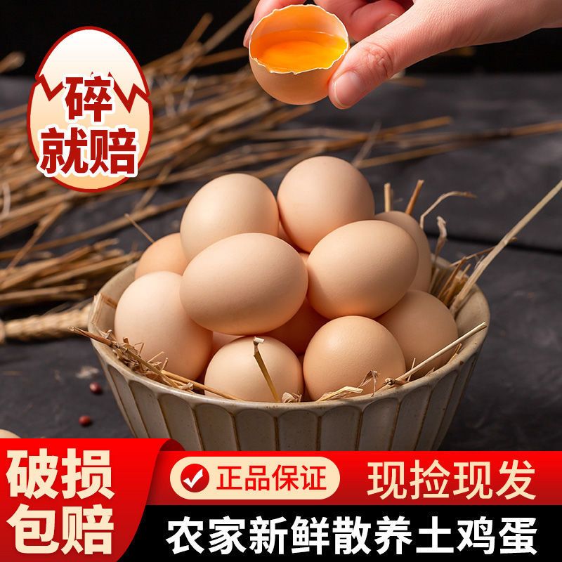 受精蛋农家散养新鲜正宗土鸡蛋无抗无激素营养健康