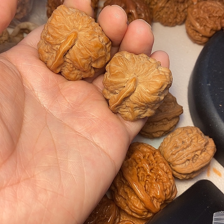 文玩核桃把件一帆风顺