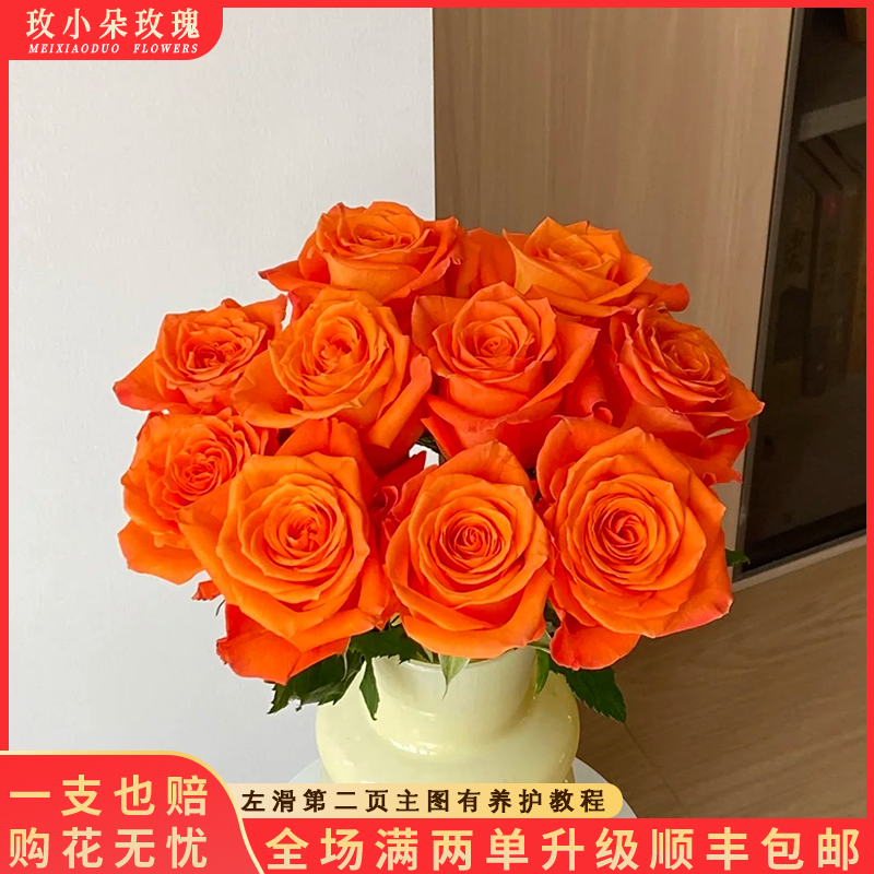 【北方玫小朵玫瑰&国王日】花期持久 产地直发 两单顺丰包邮