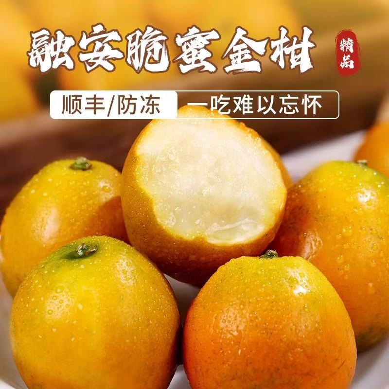 【彤果良品】正宗融安脆蜜金桔第三代金柑现摘新鲜水果北京市