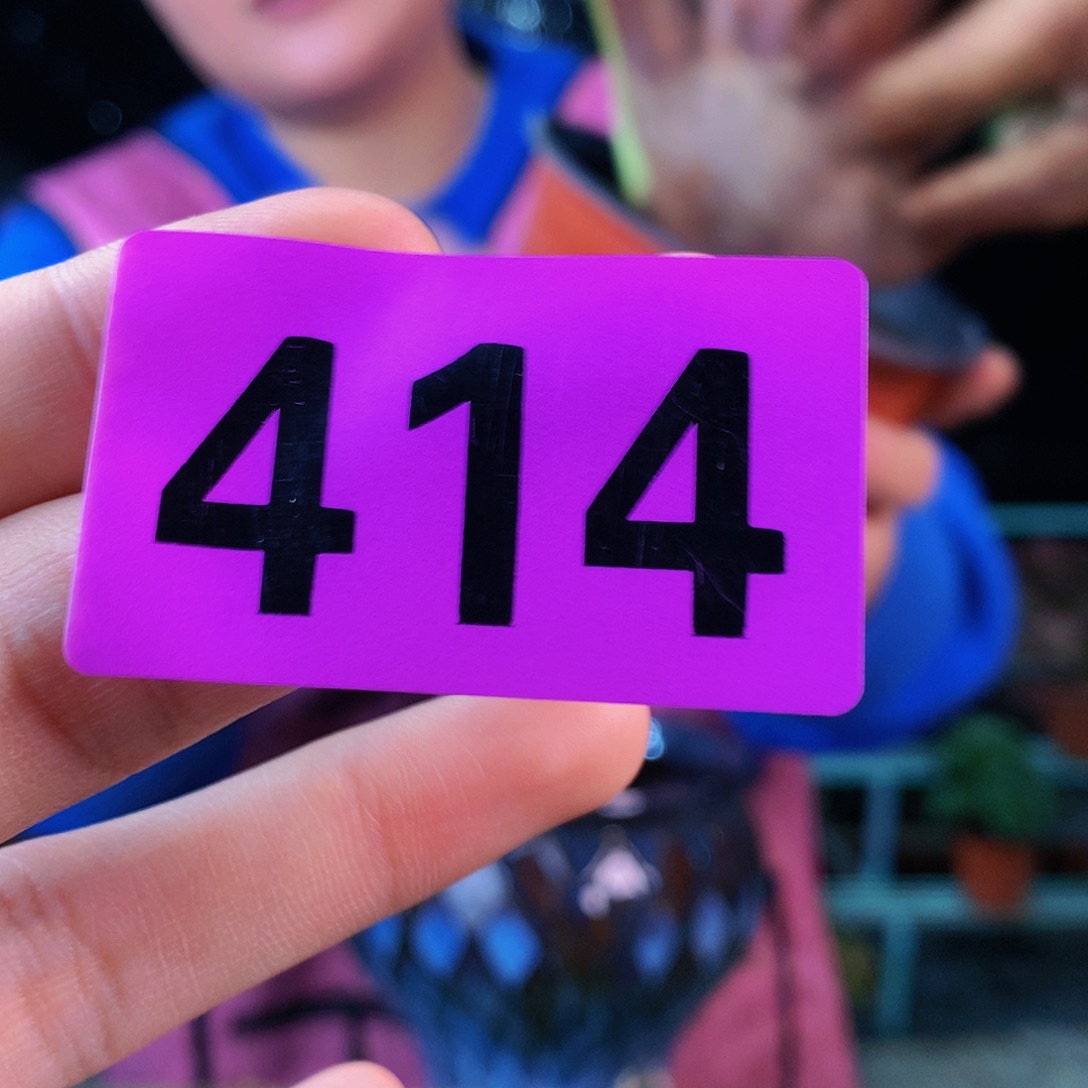 ssssssssssssssssss414