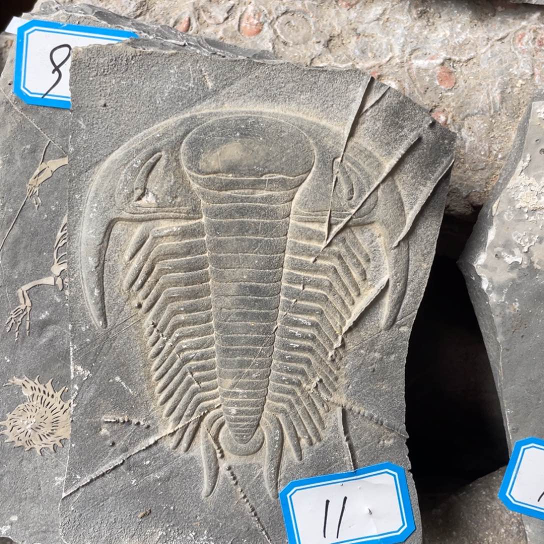 石材1111111111111111111