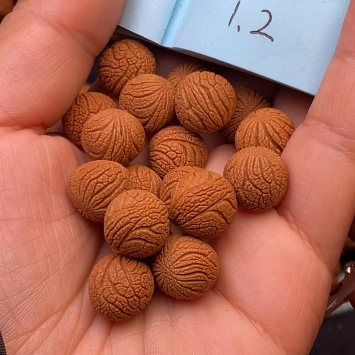 秦岭龙纹桃核20颗