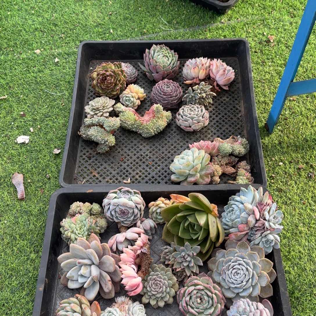 瘾***娘福利多多多多多多