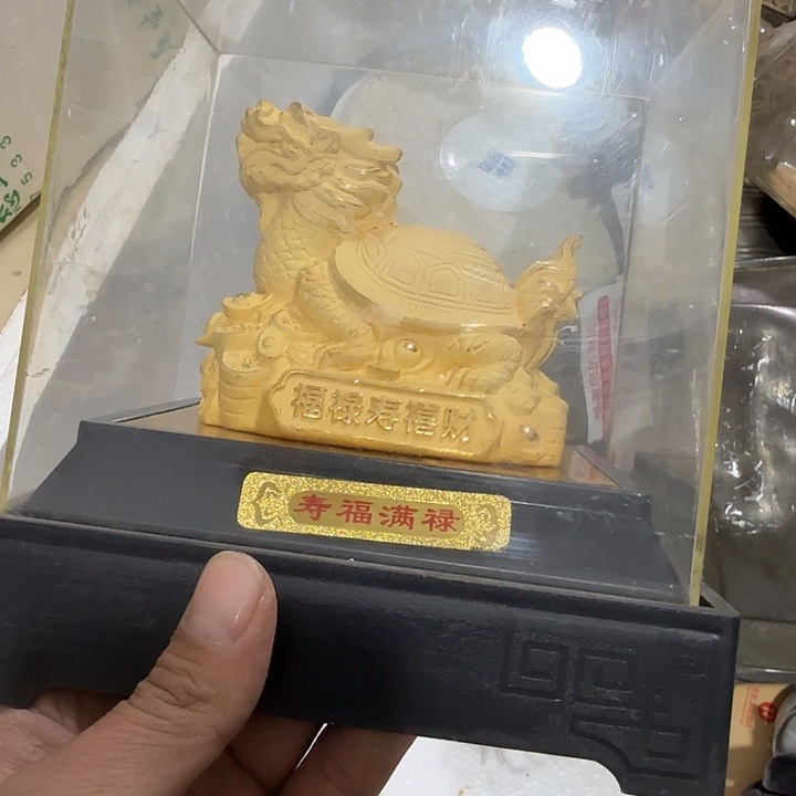 毛***豆扇子吃g哥哥哥哥哥哥刚果共和国哈