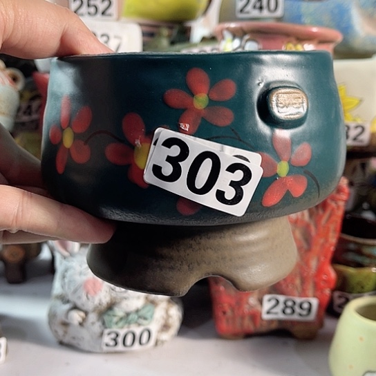 红陶多肉植物花盆