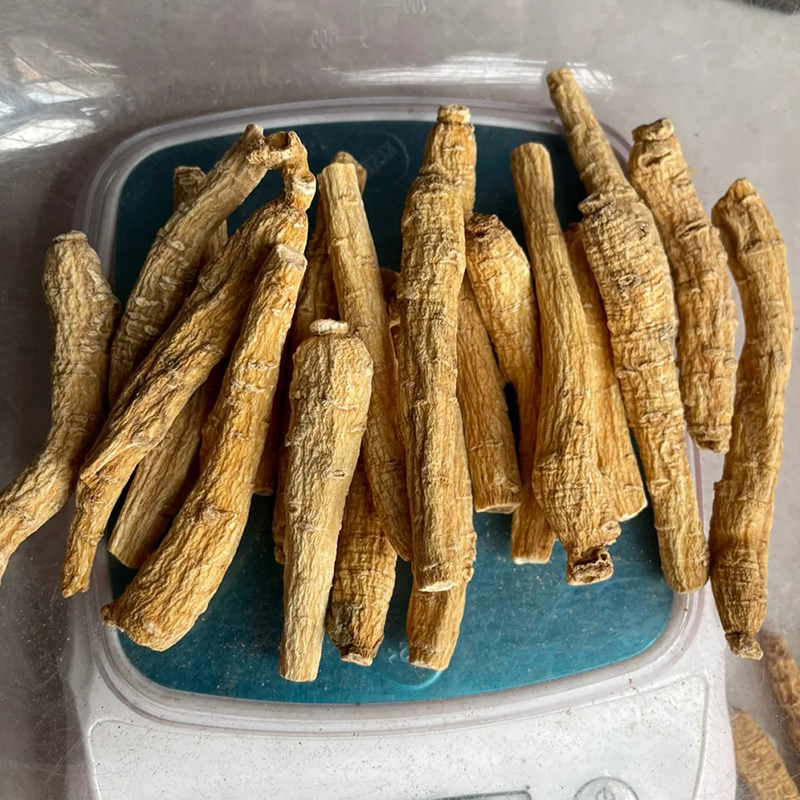 加拿大西洋参整枝3克炖汤泡水