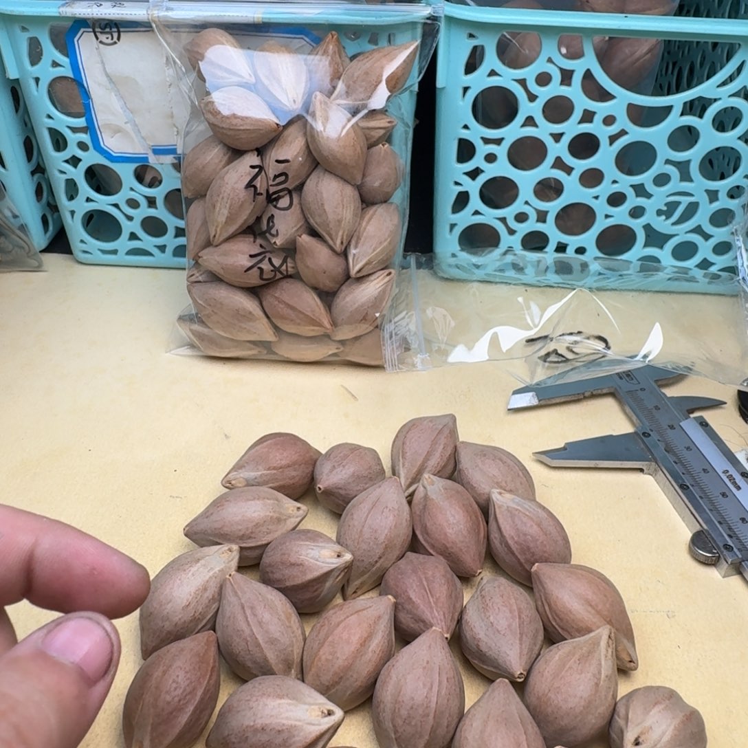 奇***一橄榄核手串/手链1