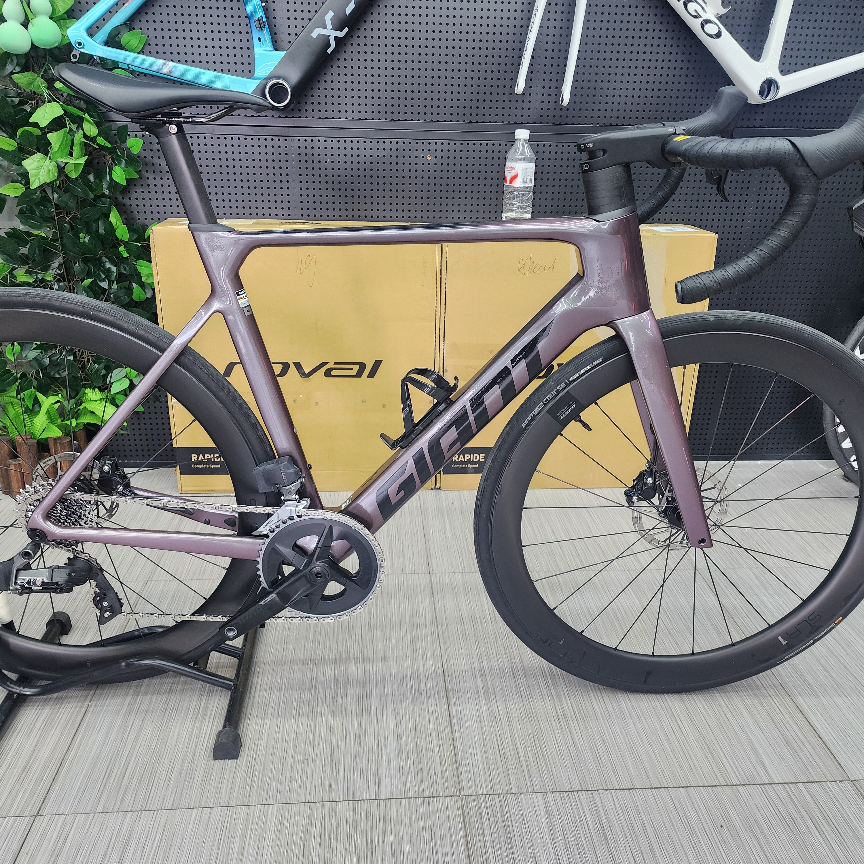 PPADv1公路自行车