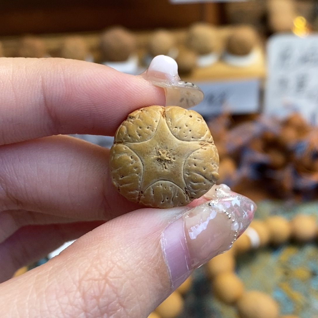 凤眼菩提吊坠五星