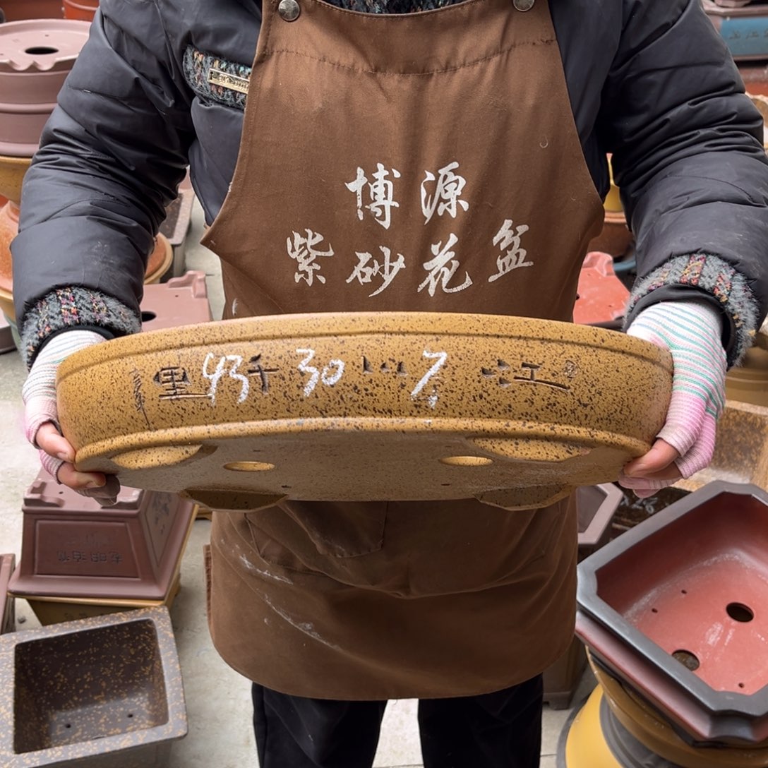 花盆紫砂盆景艺术