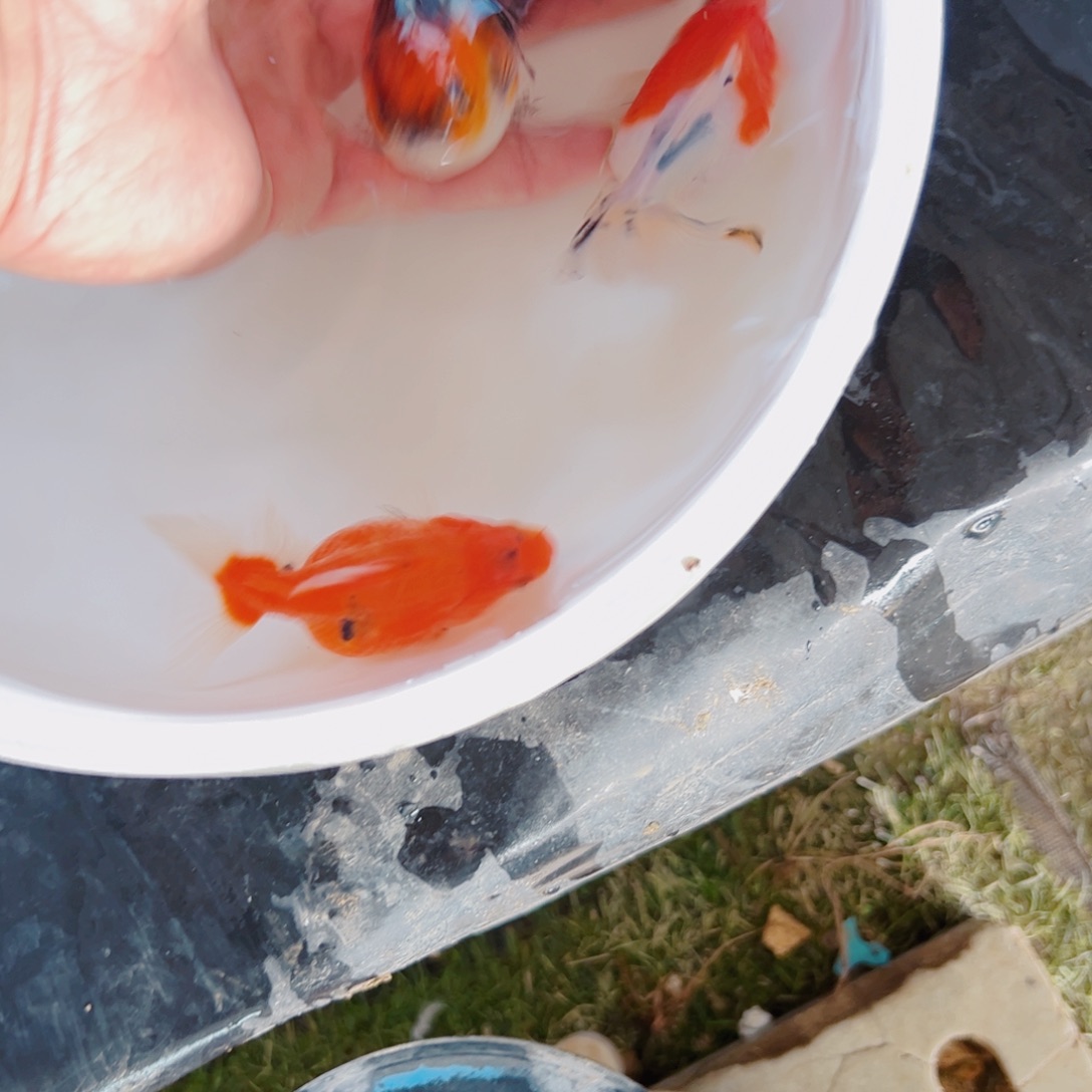 软***家海水鱼111111111111