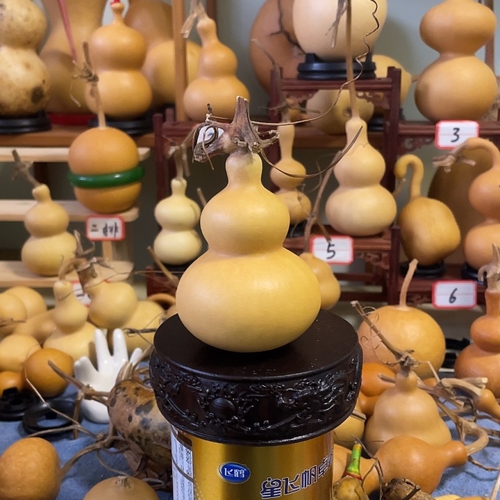 T***g文玩葫芦八宝葫芦