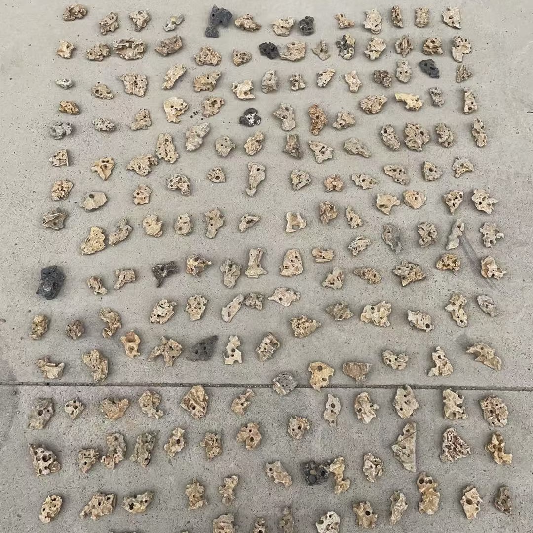 福利多种类盆栽附石直播间一物一拍图片仅供参考