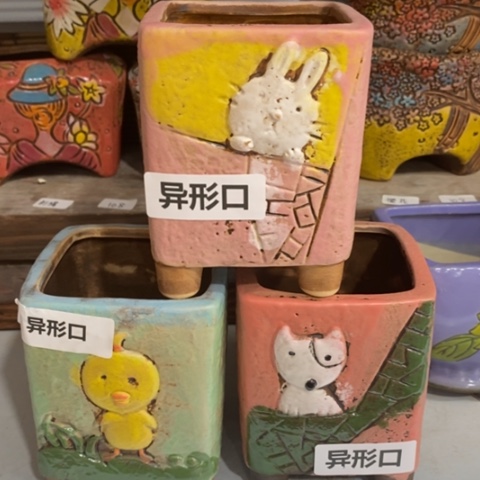 【闪购商品】红陶1