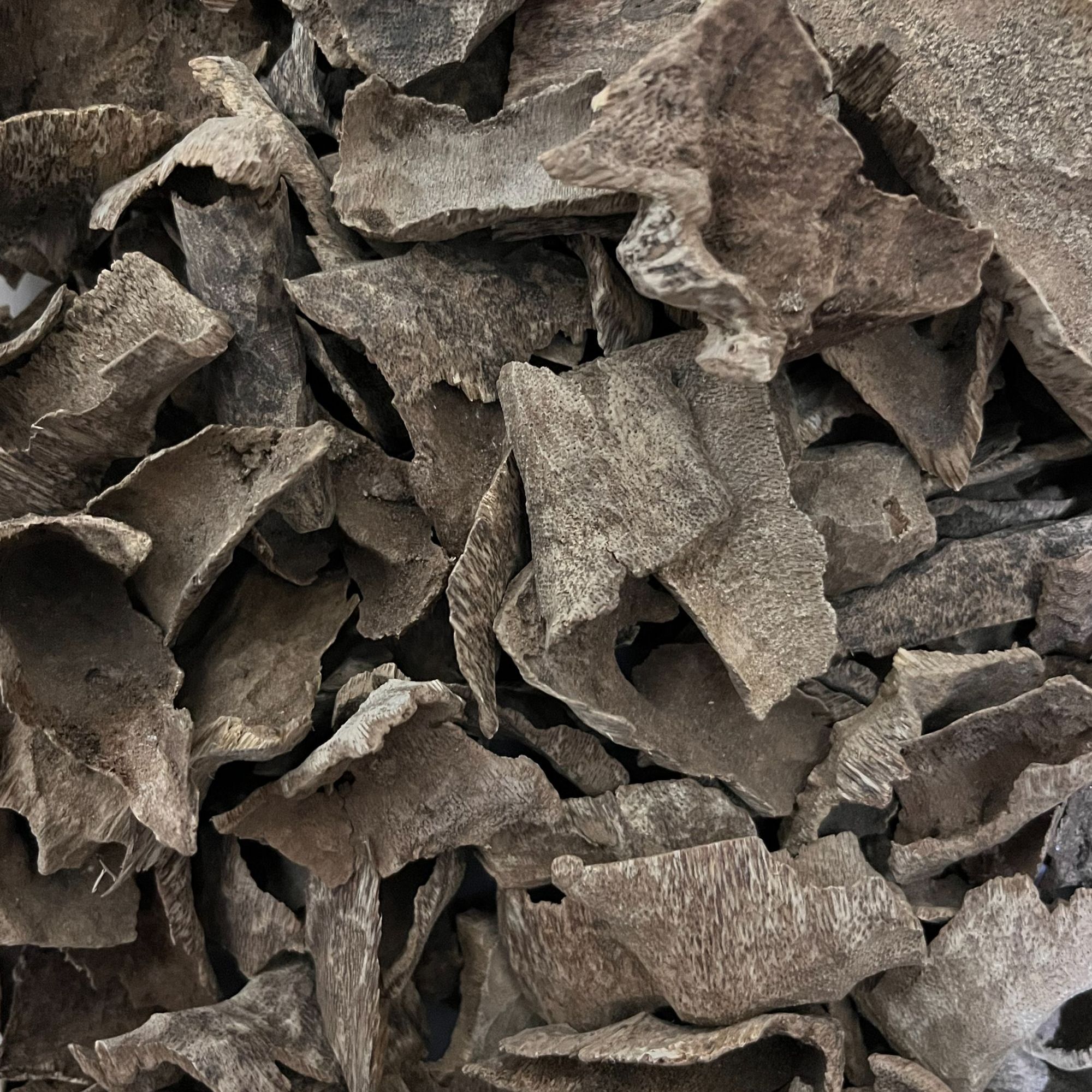 芽庄壳子块料上炉熏香