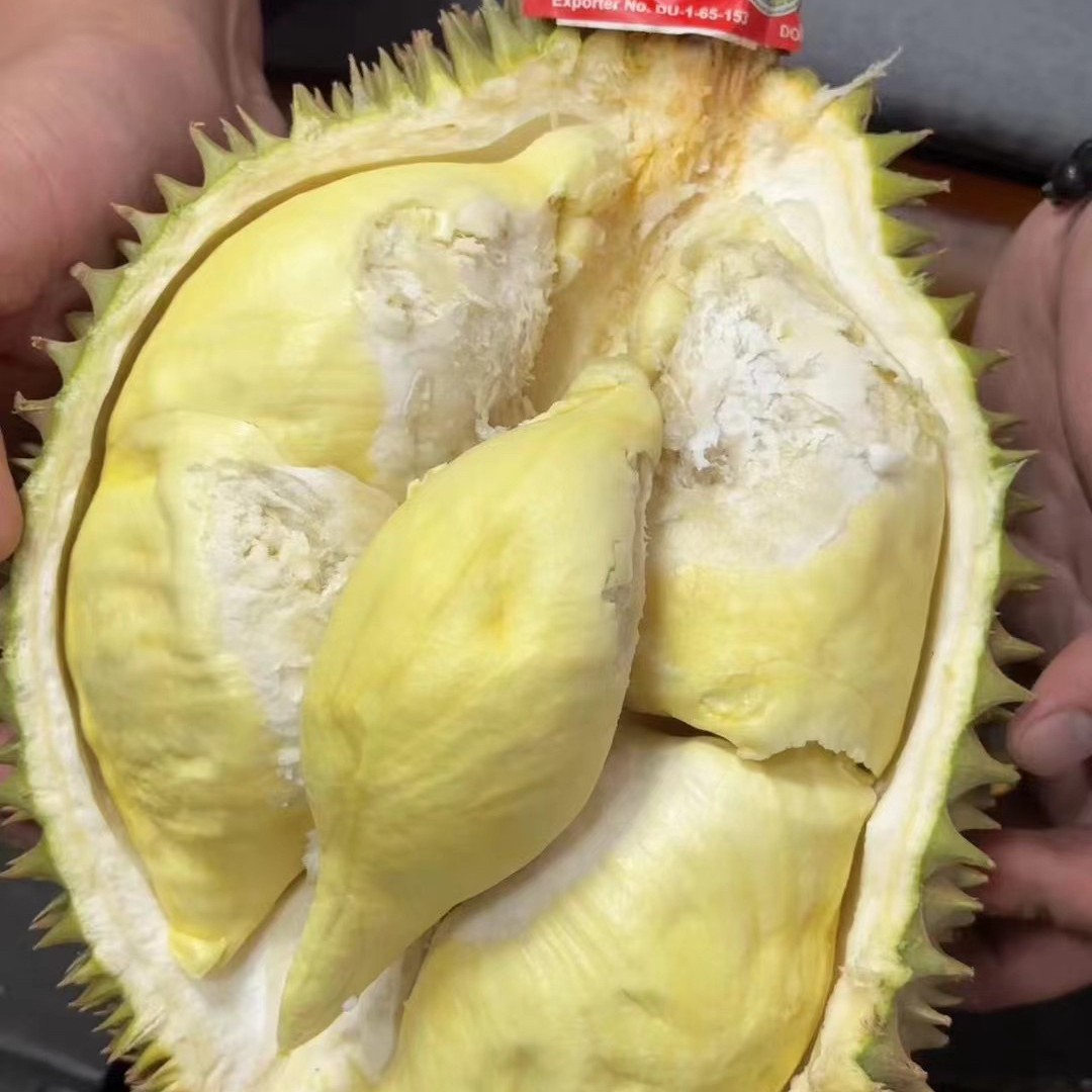 金枕鲜榴莲 核小19.9一斤金枕泰国