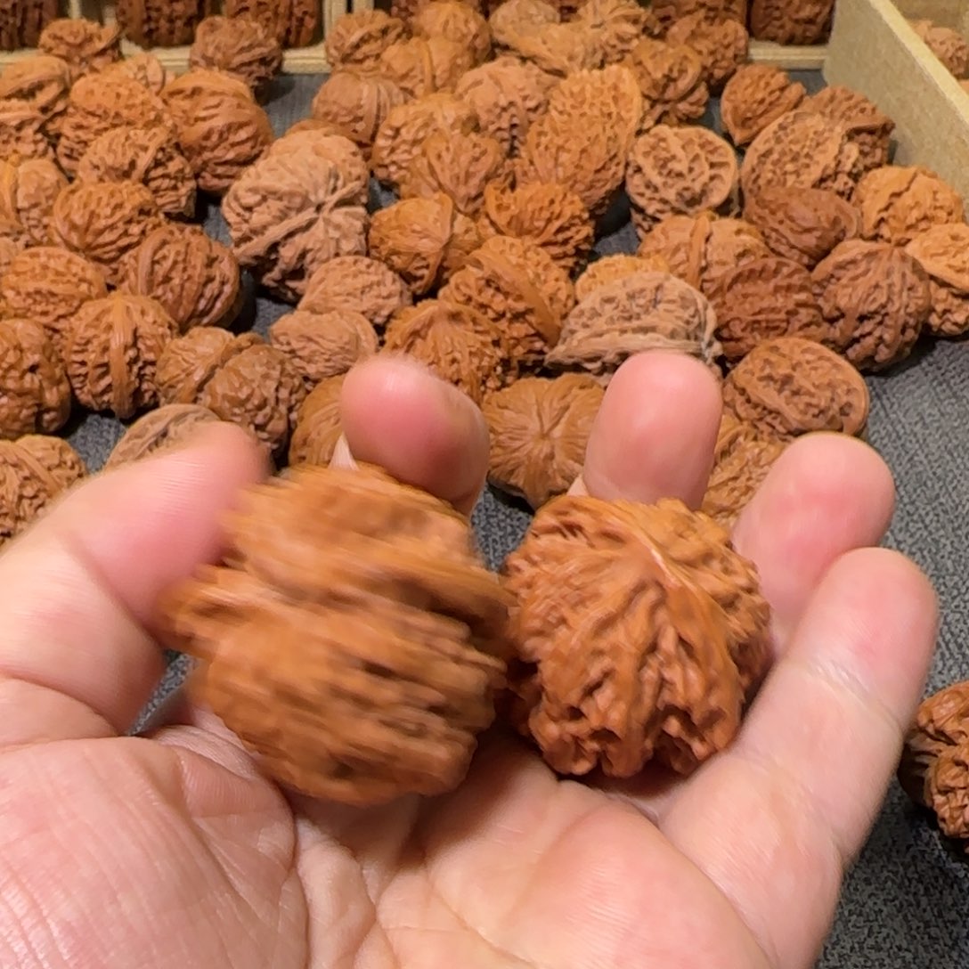 文玩核桃把件38苹果园