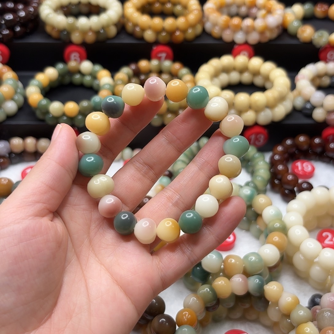 手串菩提根/象牙果屁桃