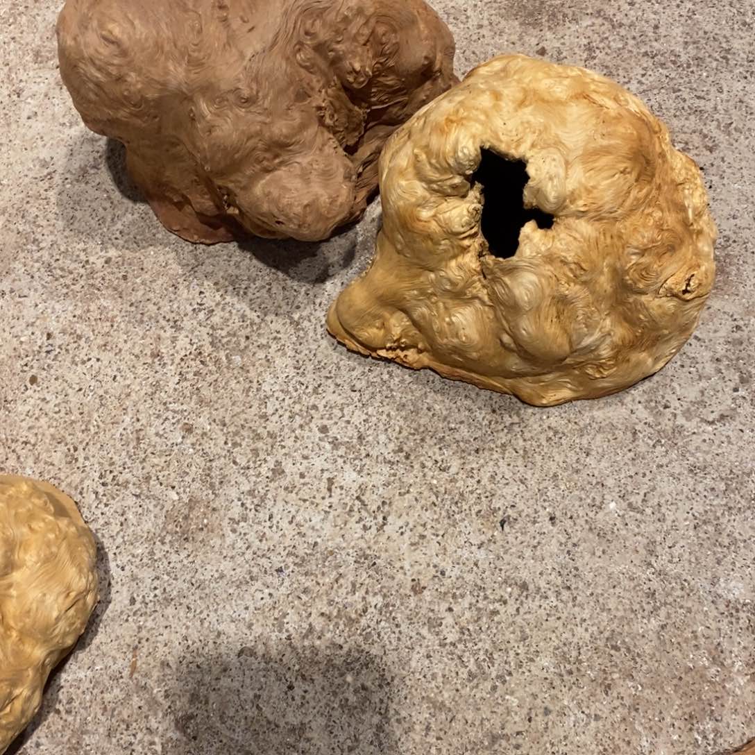 启***园荔枝木随形加工两个