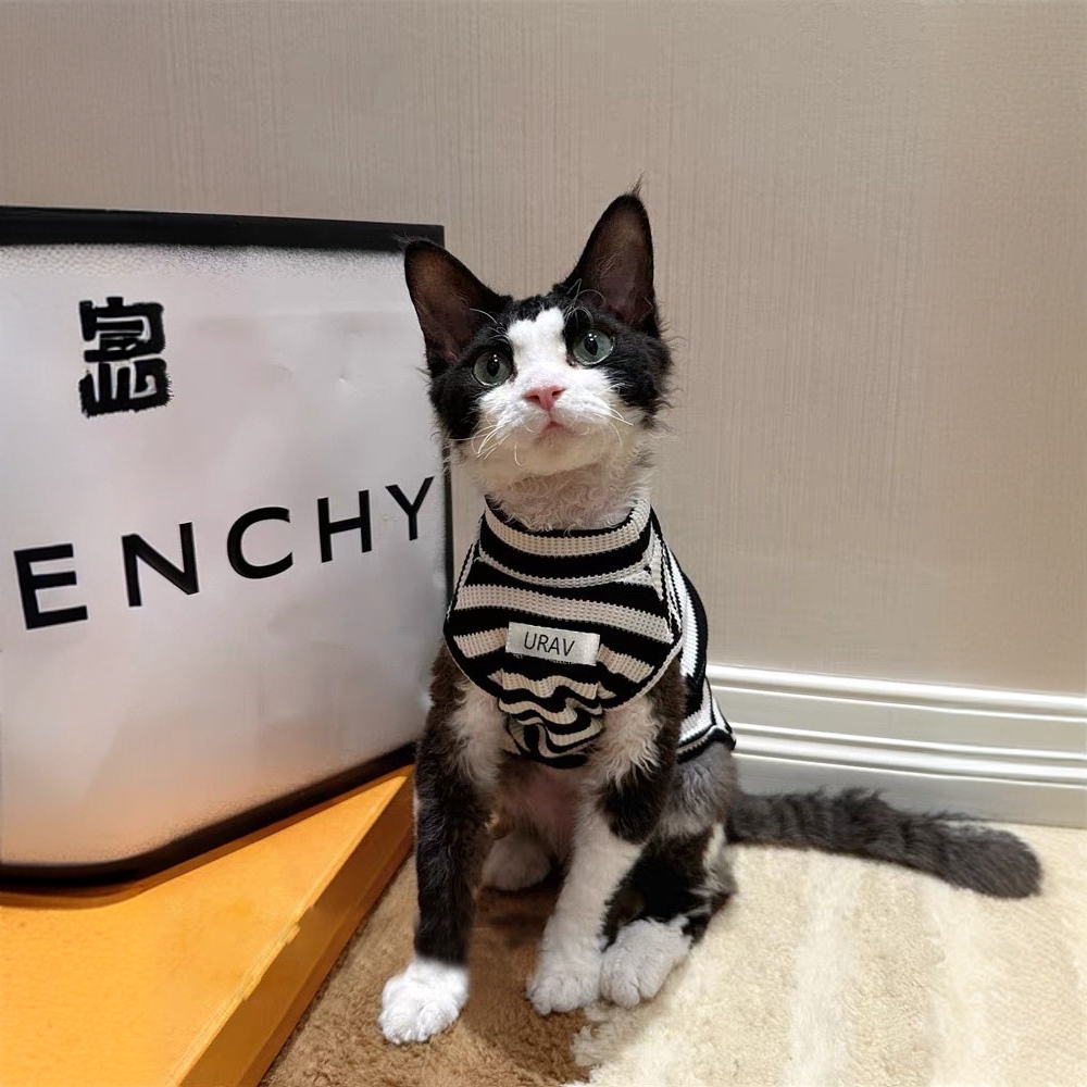 德文猫衣服透气幼猫春夏薄款防掉毛芬克斯小猫无袖宠物外出两脚衣