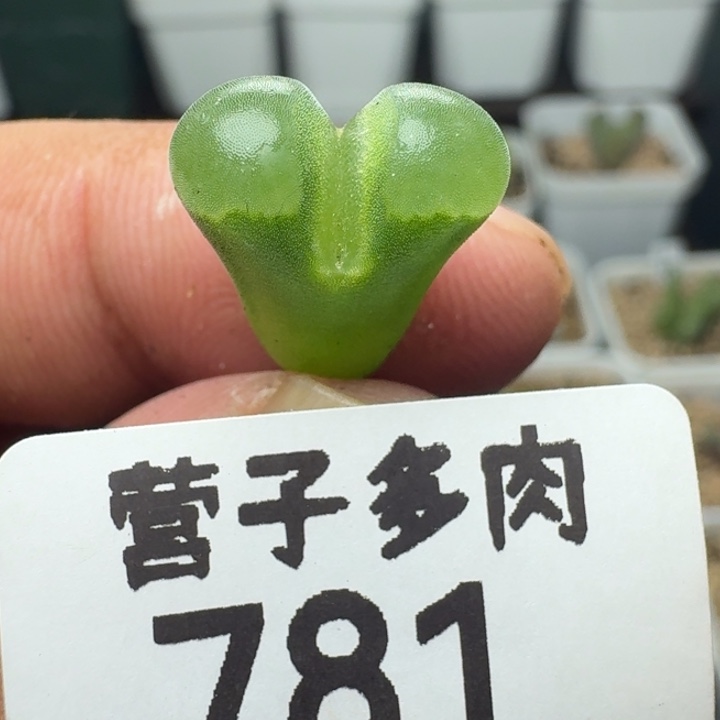 极窗y400。