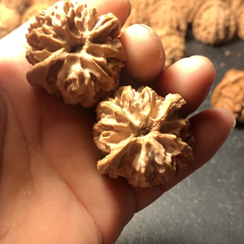 【闪购商品】鱼*七苹果