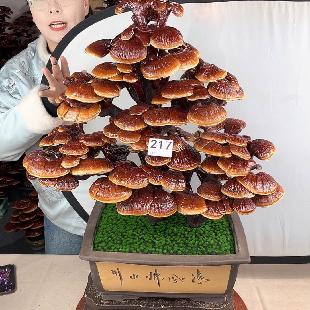 万事如意88888217