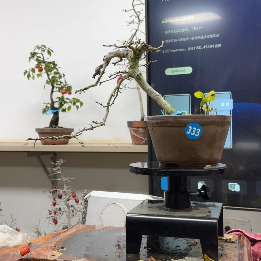 平***行无花朵333顺丰到付不包邮