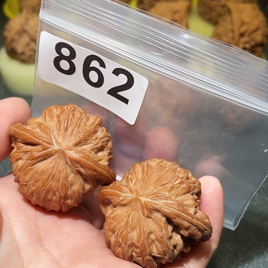 吊坠文玩核桃磨盘40
