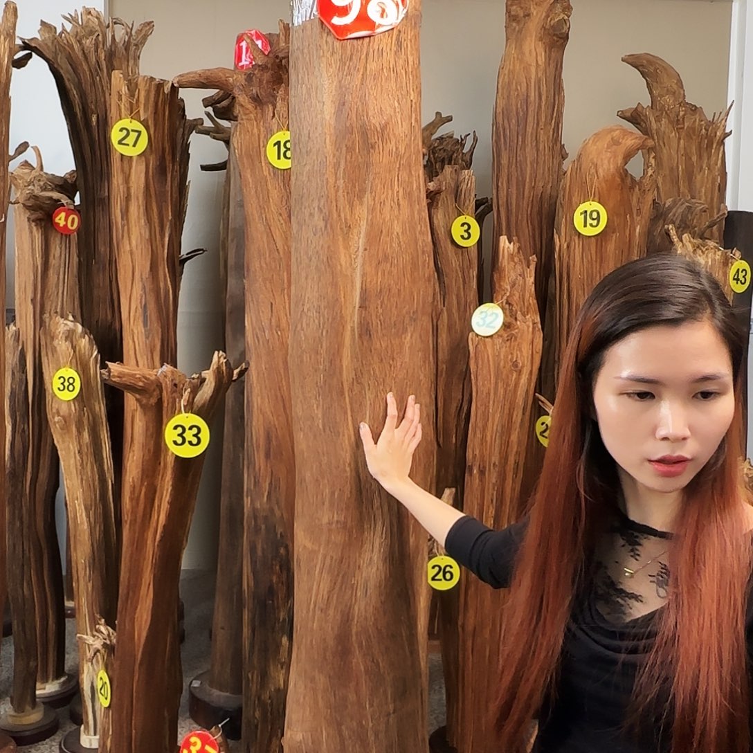 宇***则沉香沉香碎屑天然沉香原材料香料熏料