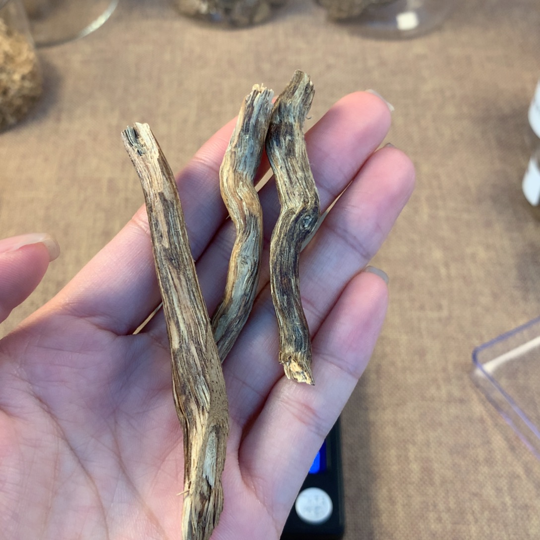 港树根树心3.23克多样性发一