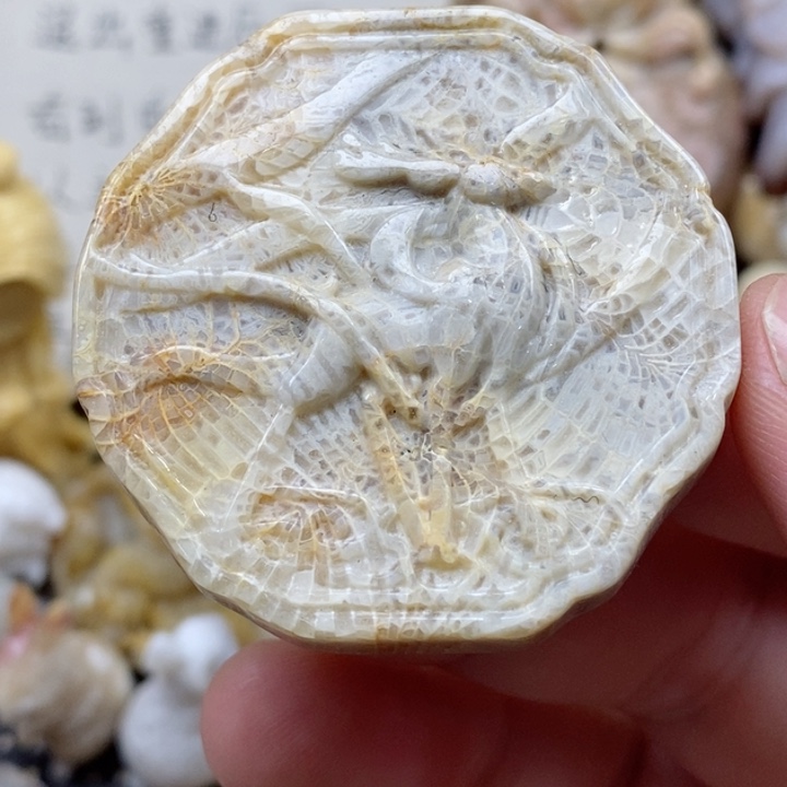 颈饰未镶嵌硅化珊瑚（珊瑚玉）