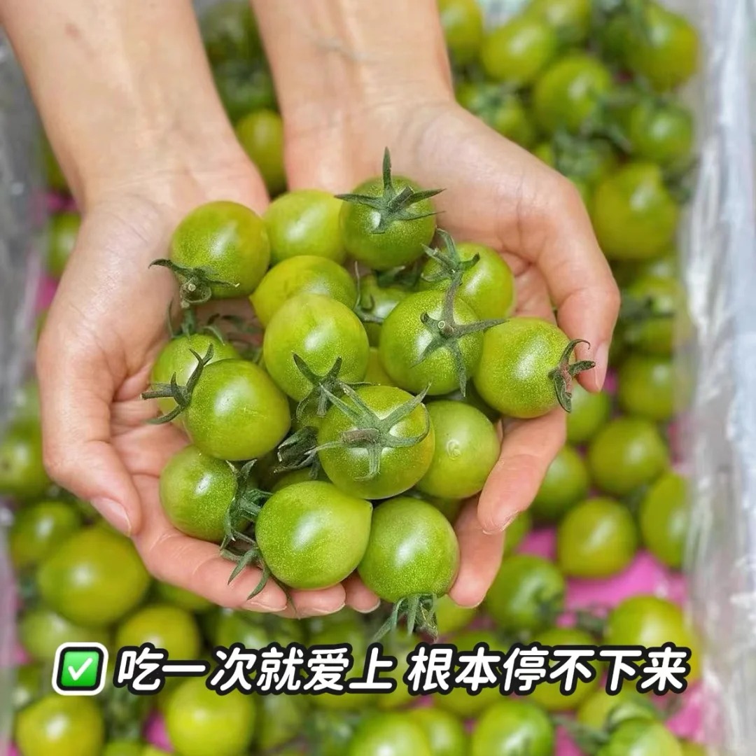 【姜婆甄选】新到贼不偷碧玉小青柿子  我很绿，但是我很甜。净果2斤山东省