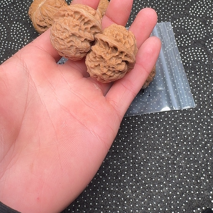 文玩核桃吊坠哈哈哈哈哈哈以后