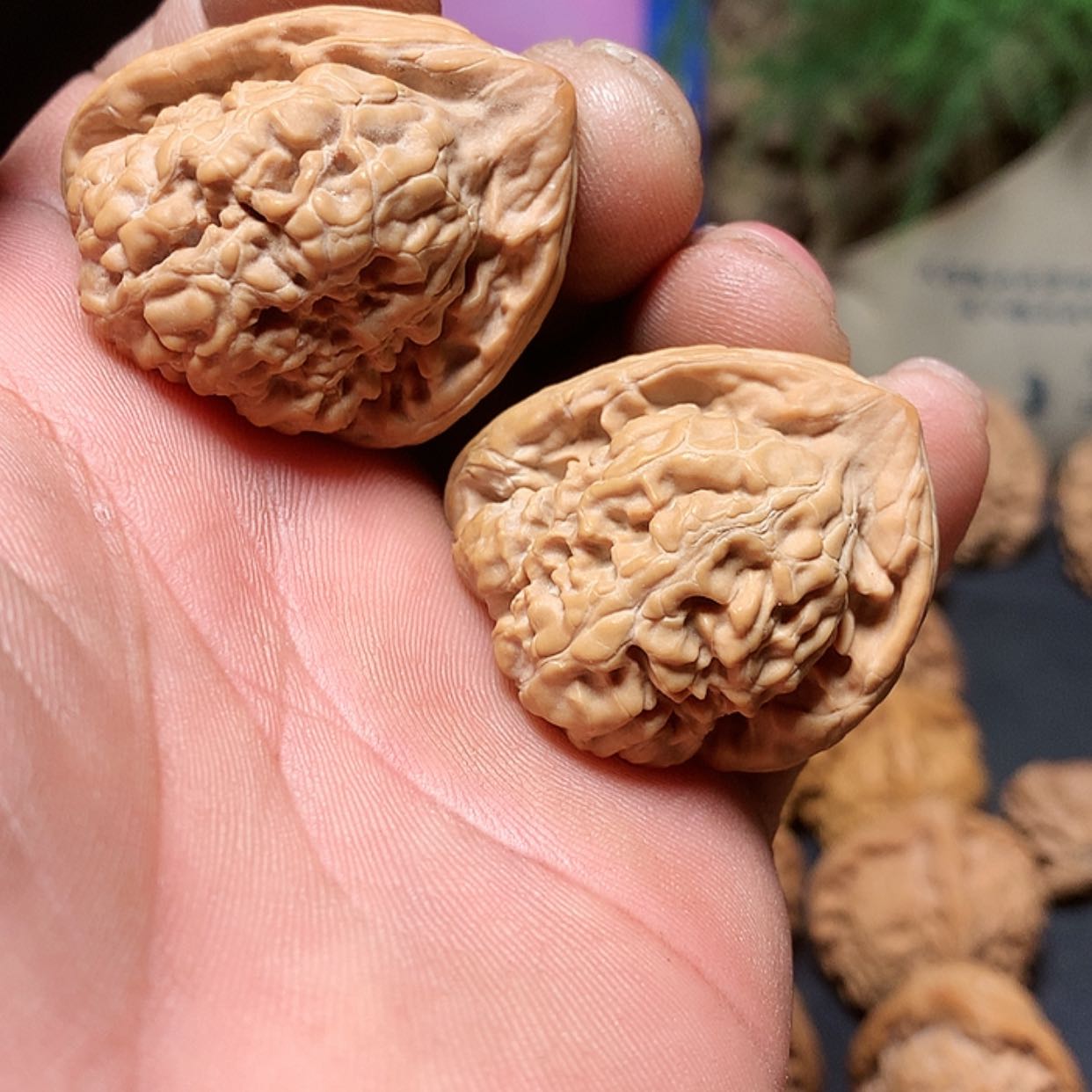 【闪购商品】文玩核桃把件渣*天残脚山地把件
