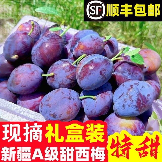【顺丰包邮】新疆大西梅当季孕妇水果新疆蓝密西梅鲜果整箱果王直播