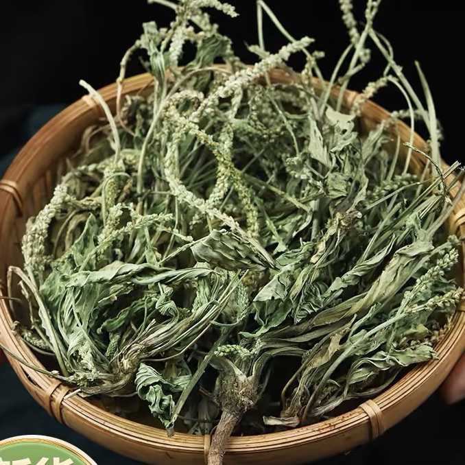 深山车前草 现收山货土特产