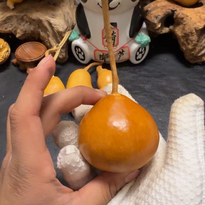 一***顺66…………………………………………