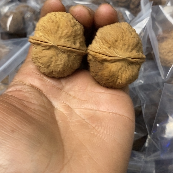 核桃云南铁核桃基地22