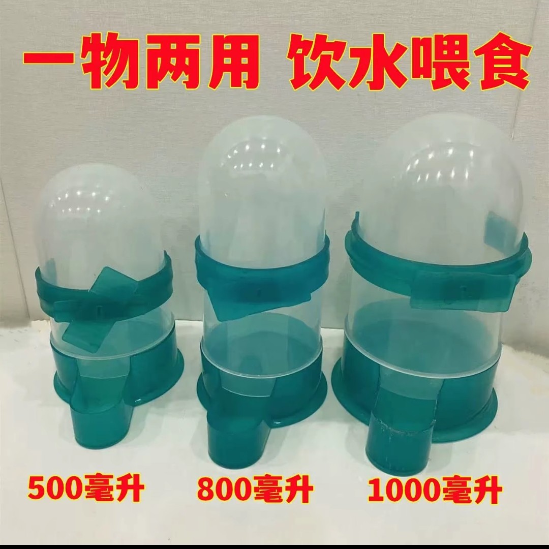 鸽子喂水喂食一款多用杯自动下鸽粮