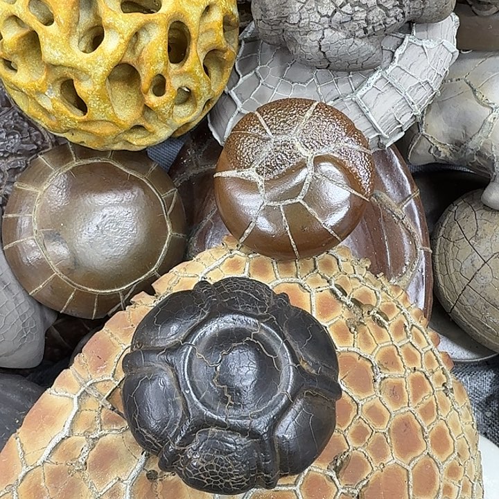 纵***间石材龟纹石最低哥