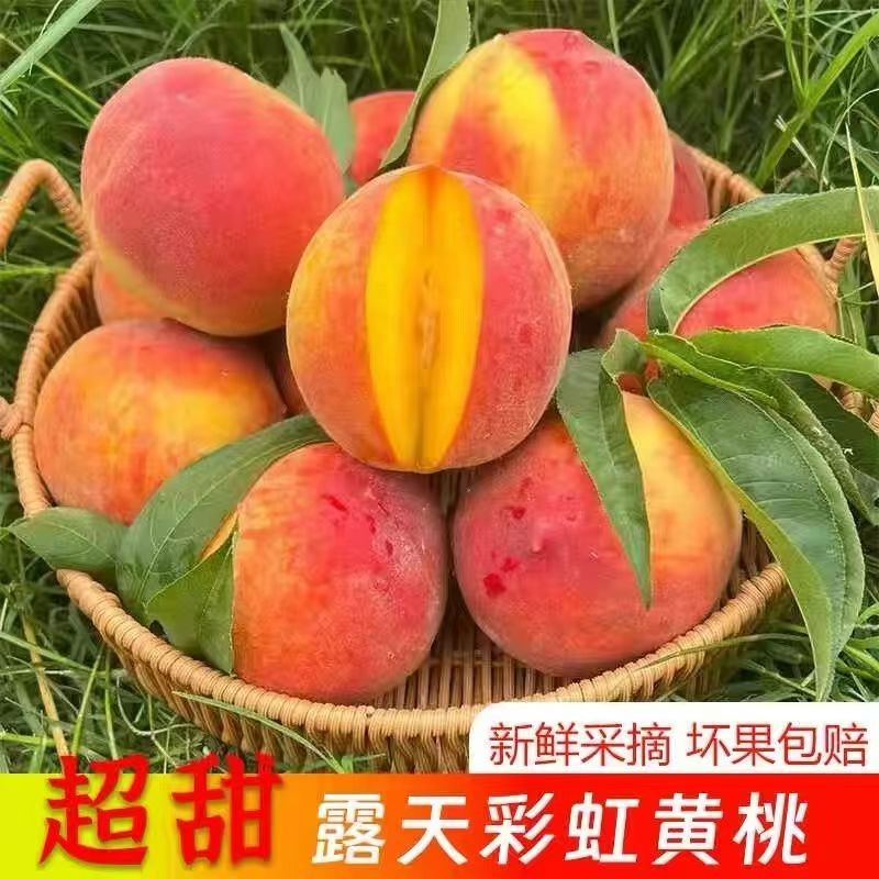 【六月上新】彩虹黄桃红皮黄桃3斤装【次日达】桃子同城送湖北省