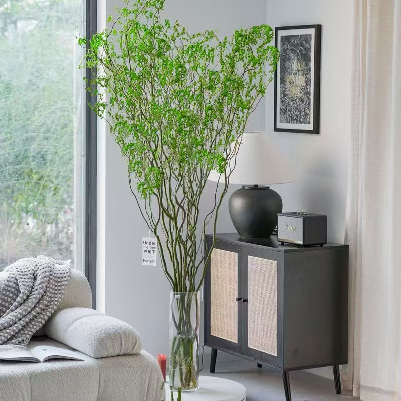 【造物专属】高端龙柳鲜枝室内水培植物好养活懒人植物