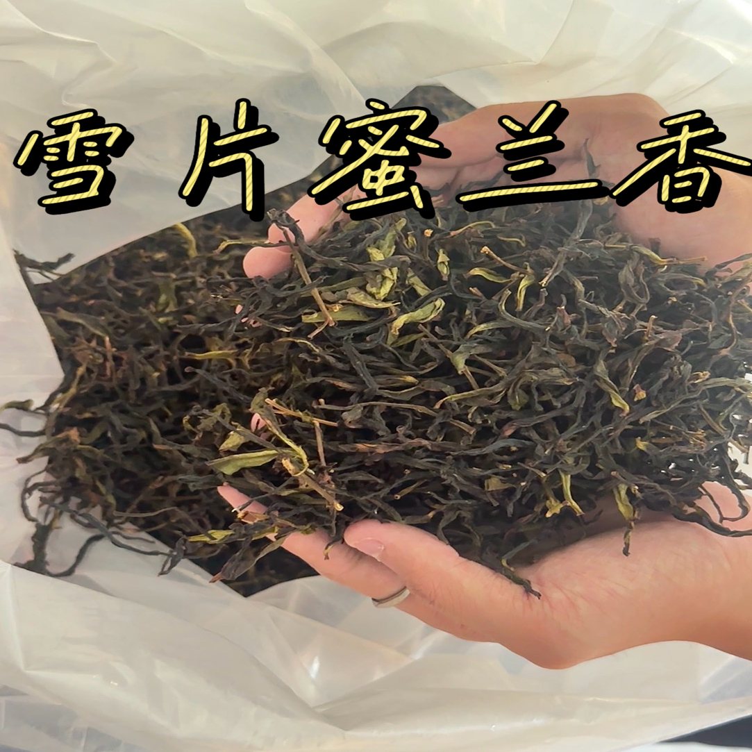 热销【雪片蜜兰香】凤凰单枞茶乌龙茶 花香甘鲜 清甜口粮茶（炸福利）