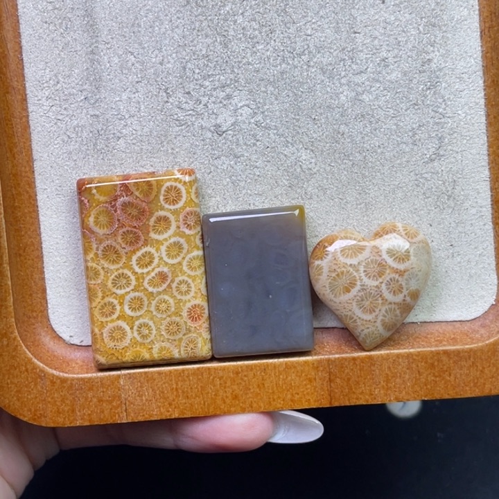 未镶嵌吊坠硅化珊瑚（珊瑚玉）