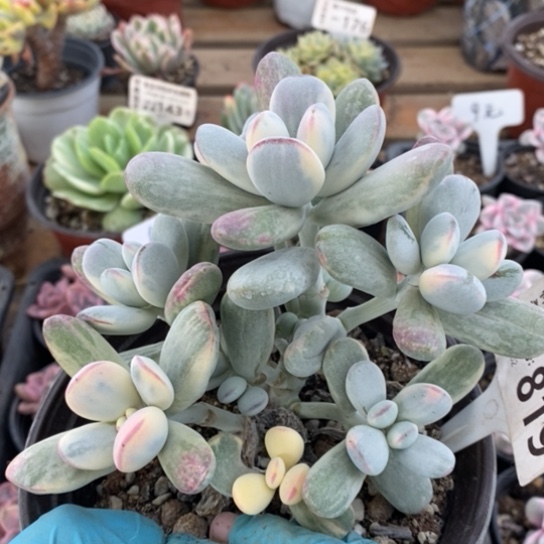 819一一一一一一一一一