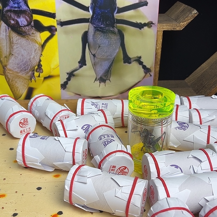 寒***雨郝建伟蝈蝈两只包邮