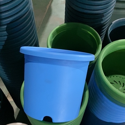 树脂天蓝2#无托13个